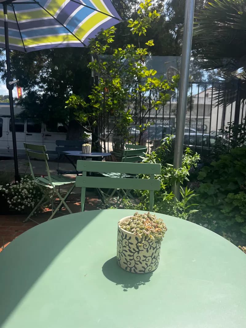 Cup of Bloom La Jolla, Coffee Shops in La Jolla
