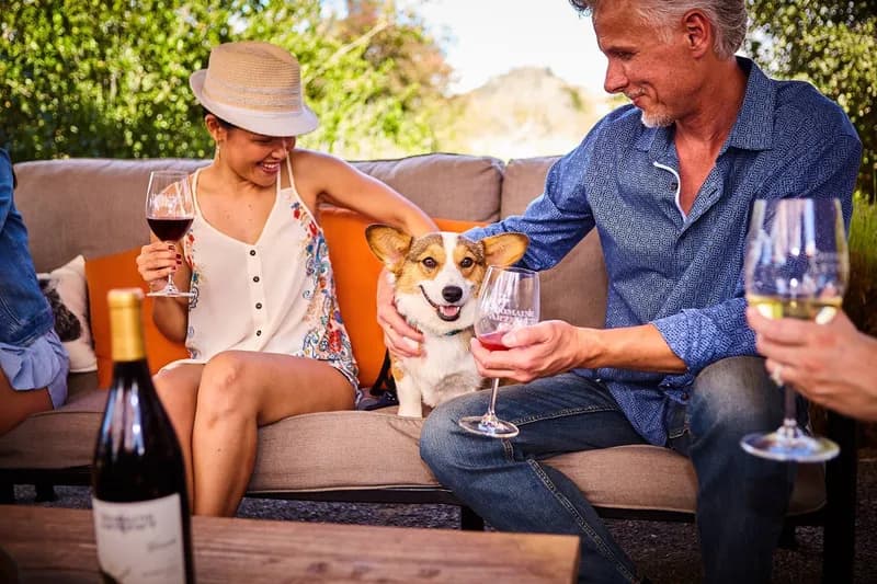Domaine Artefact Vineyard & Winery, Wine Bars in Little Italy