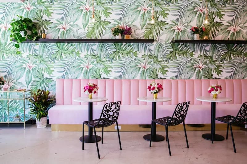 Holy Matcha, Coffee Shops in North Park