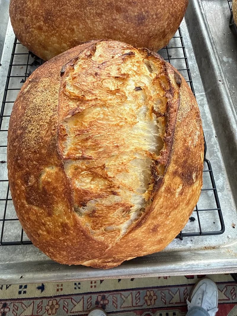 Bee's Bread Co, Bakeries in Coronado