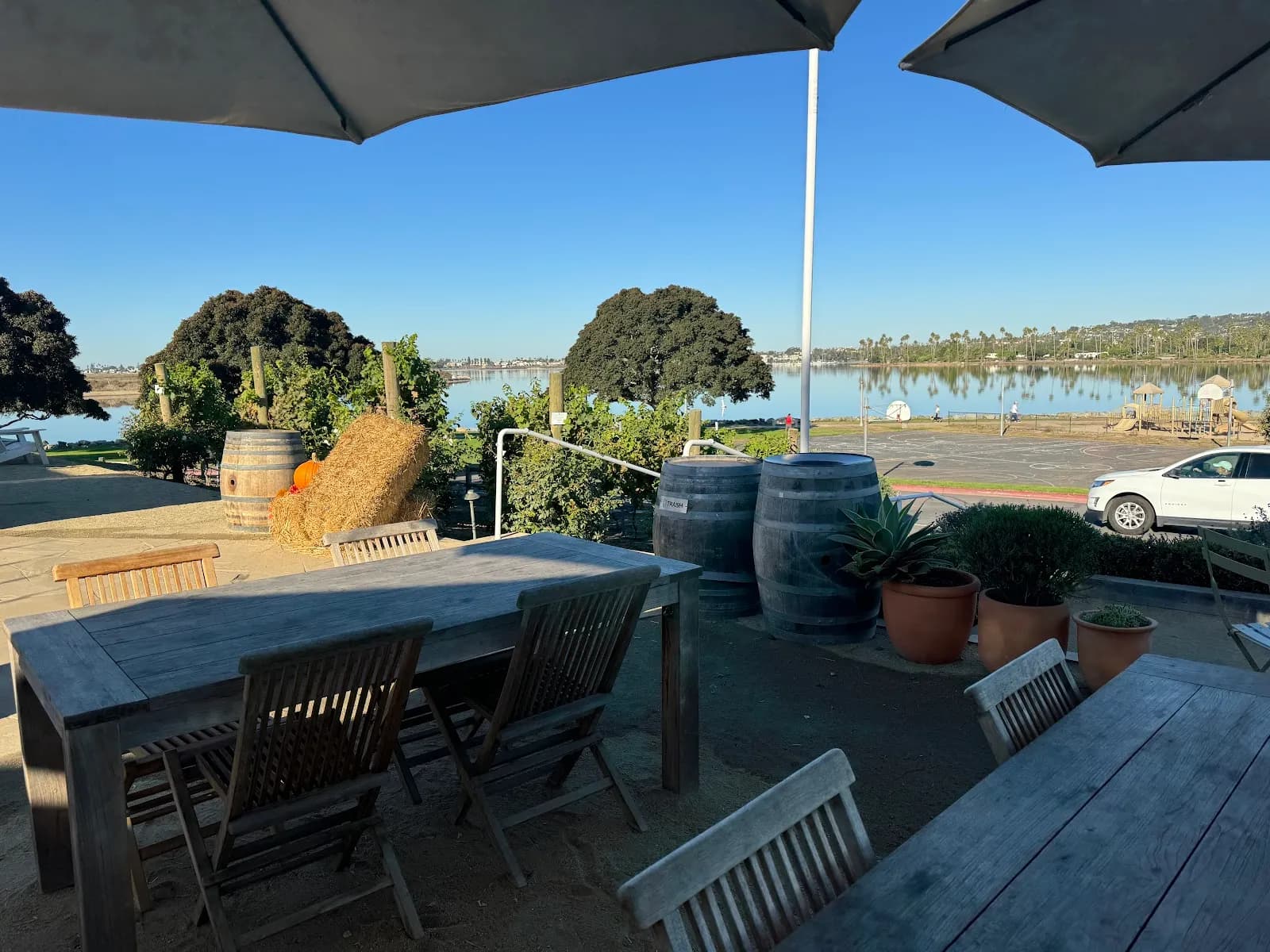 Superbloom Coffee & Juice, Coffee Shops in Bay Park