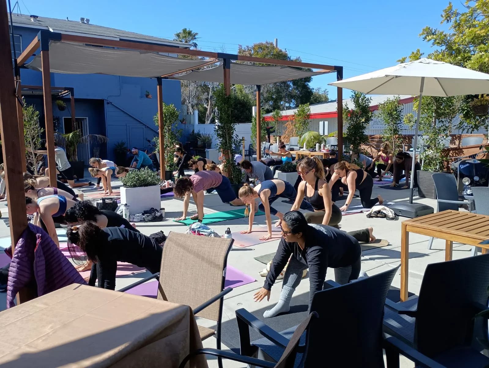 Caffé di Talya - Coffee shop, Coffee Shops in Pacific Beach